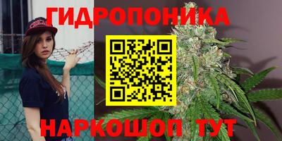 прущие грибы Бийск