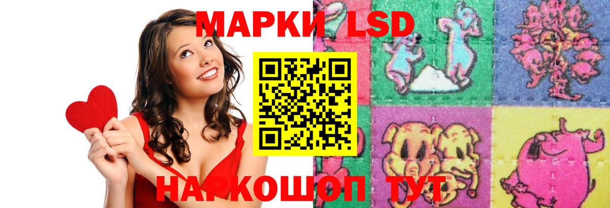 ГАШ Кировск