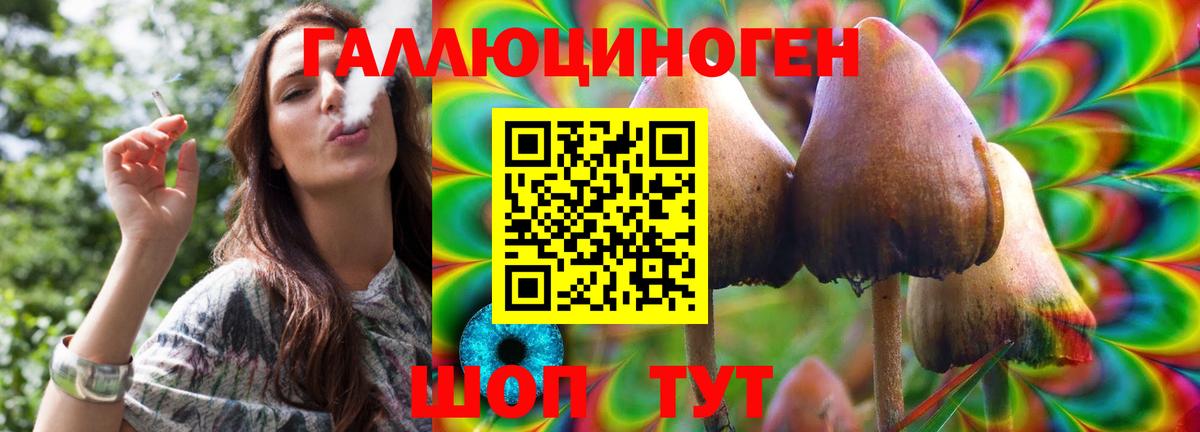 Псилоцибиновые грибы мицелий Кировск