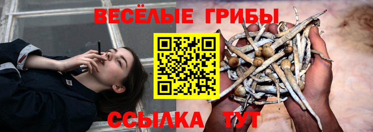 МЕФ кристаллы  Каннабис  COCAIN  ГАШ  Кировск  Вход с VPN  МАРИХУАНА 