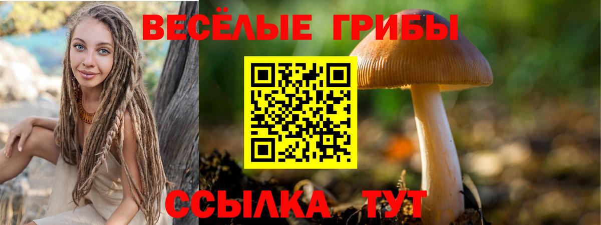 Кировск  Галлюциногенные грибы Cubensis  Вход с VPN 