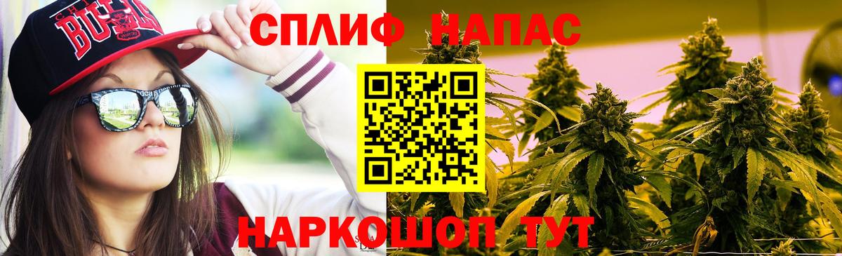 Бошки Шишки планчик  Вход с VPN  Канабис план  Кировск  Конопля SATIVA & INDICA 